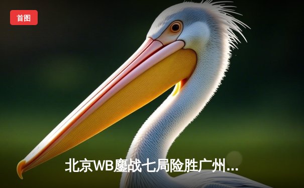 北京WB鏖战七局险胜广州TTG，暖阳绝境抢龙锁定总决赛席位